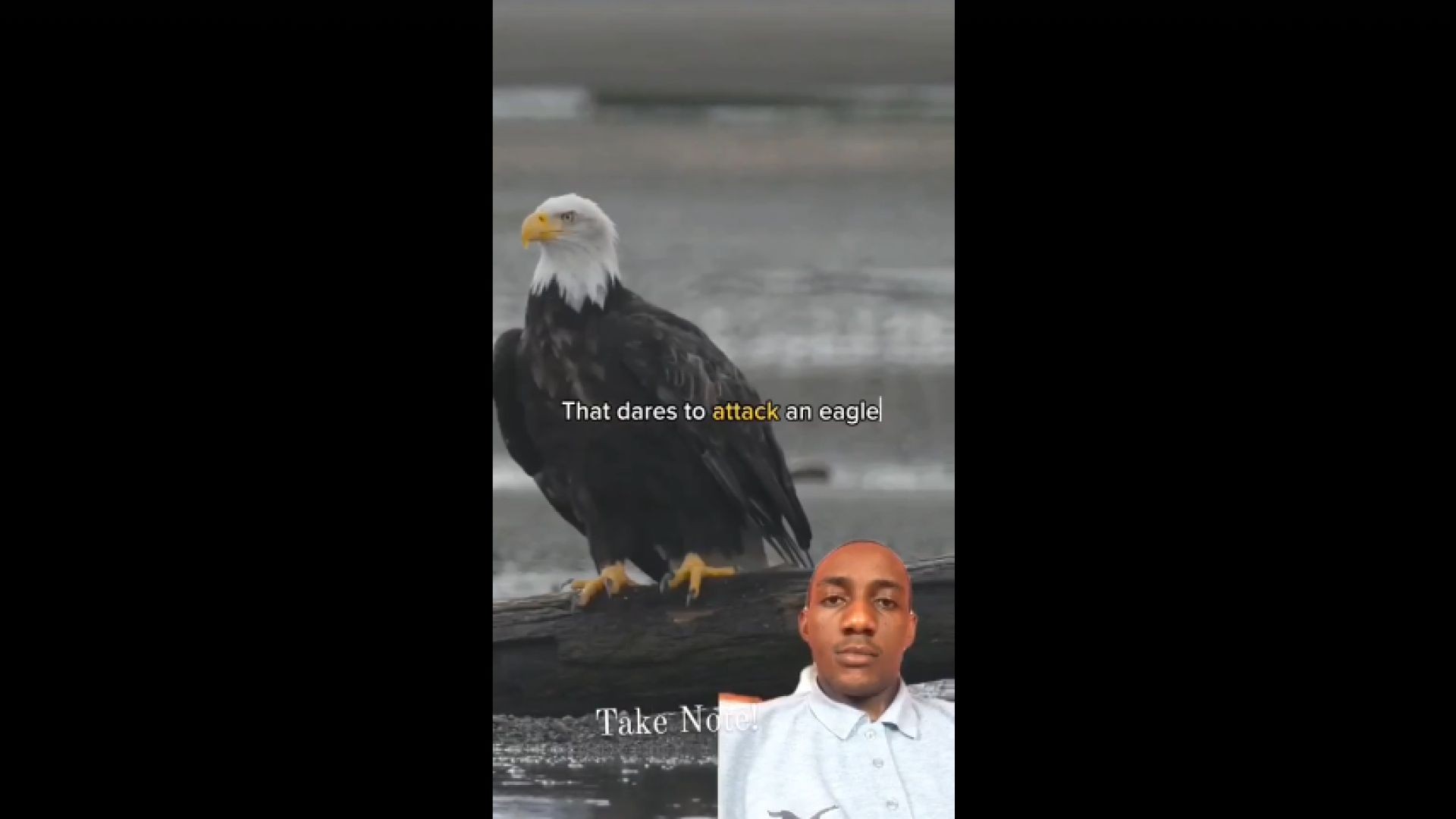 The Eagle Defense Strategy