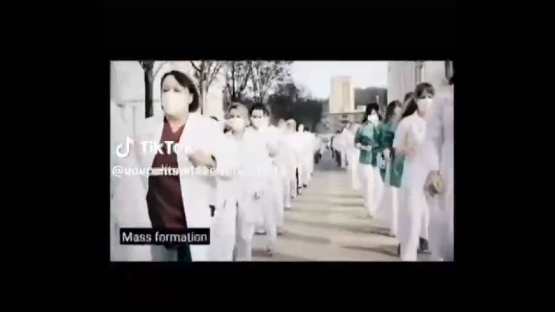 What's Mass Formation?