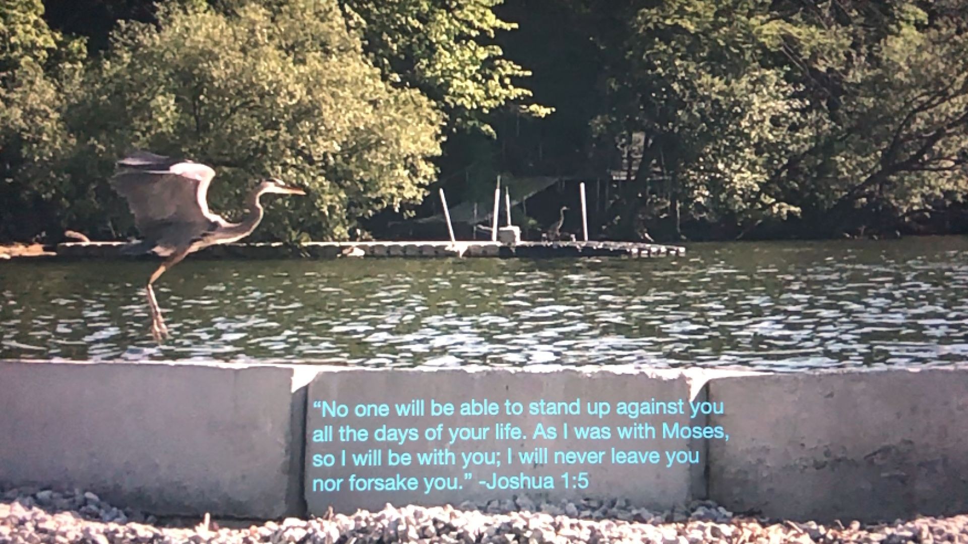 Bible Quote of the Day 9-20-23