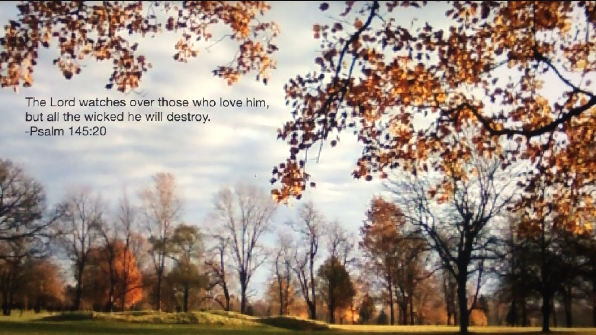 Bible Quote of the Day  10-5-23
