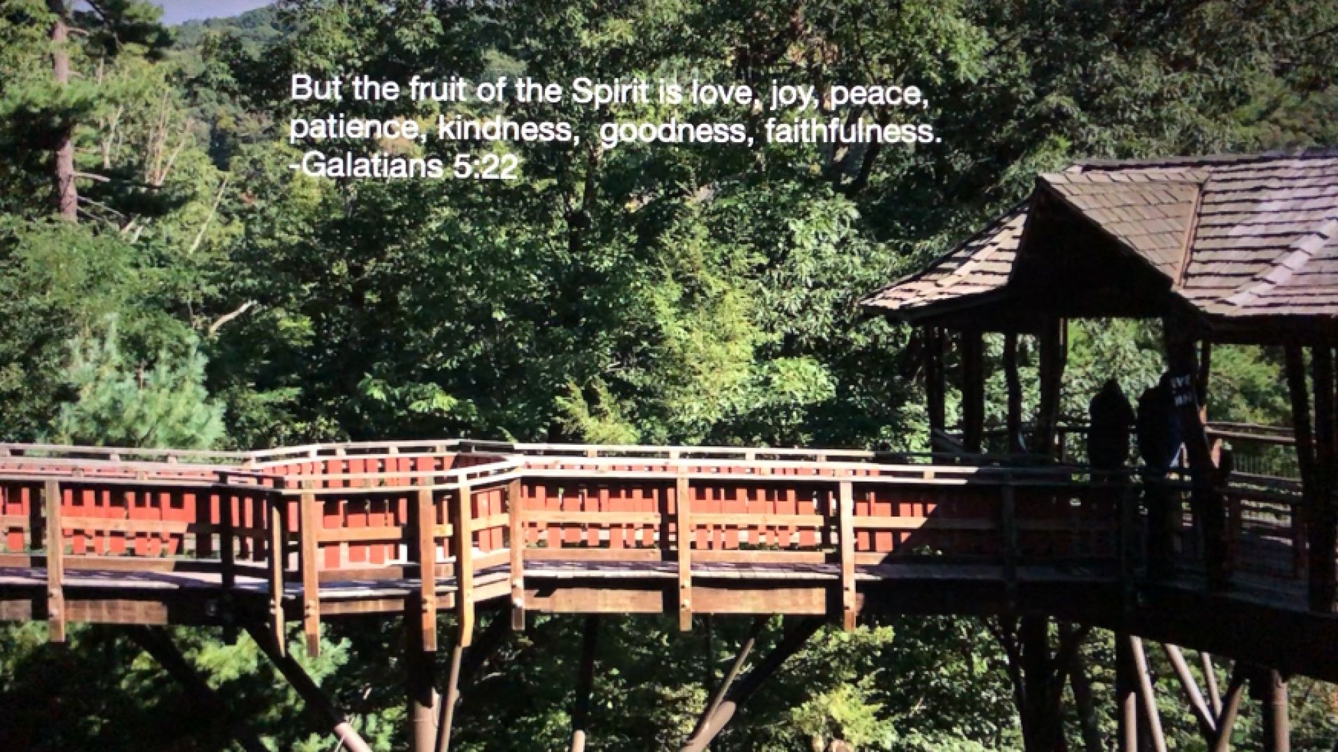 BIBLE QUOTE OF THE DAY  9-29-23