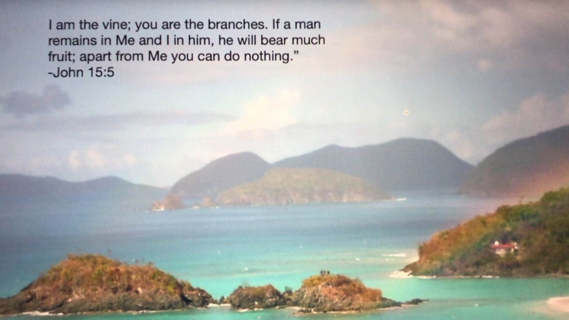 Bible Quote of the Day        (7)
