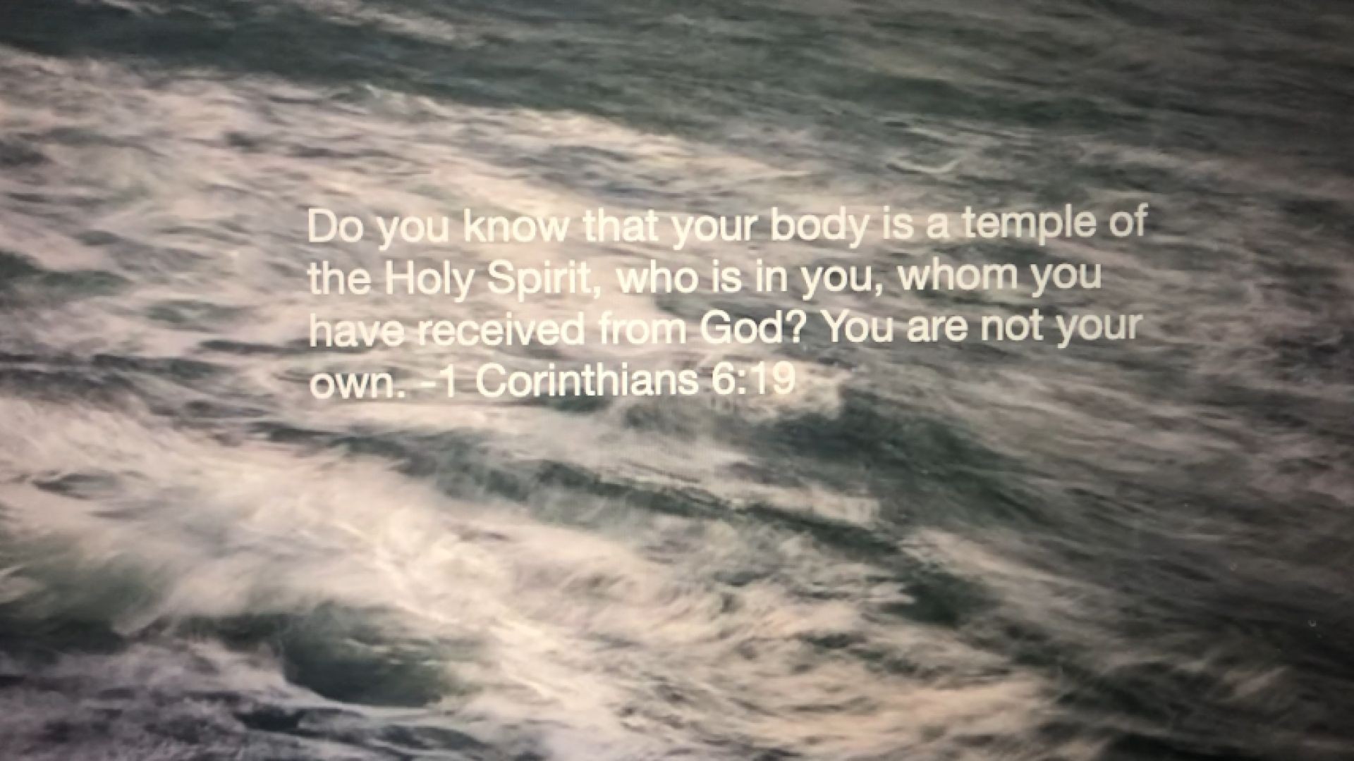 Bible Quote of the Day 11-19-23