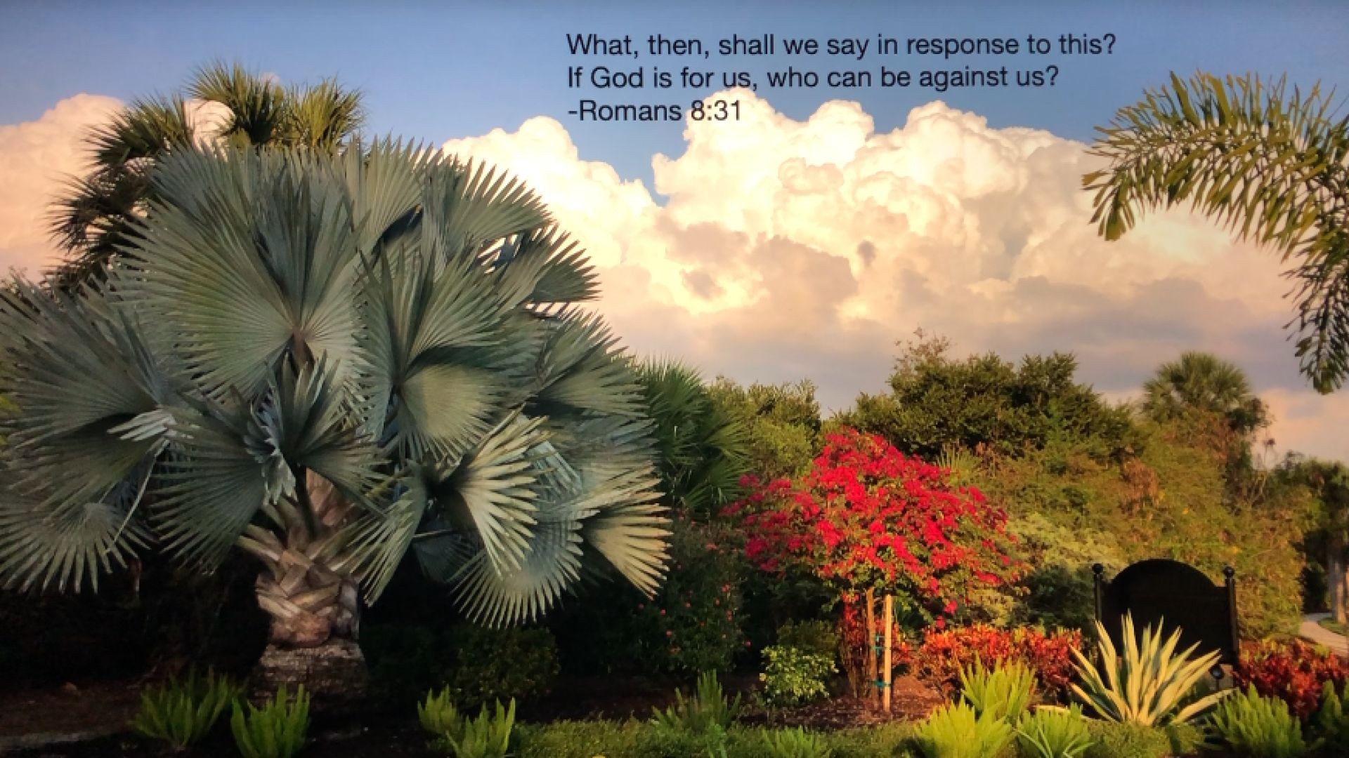 Bible Quote of the Day 9-17-23