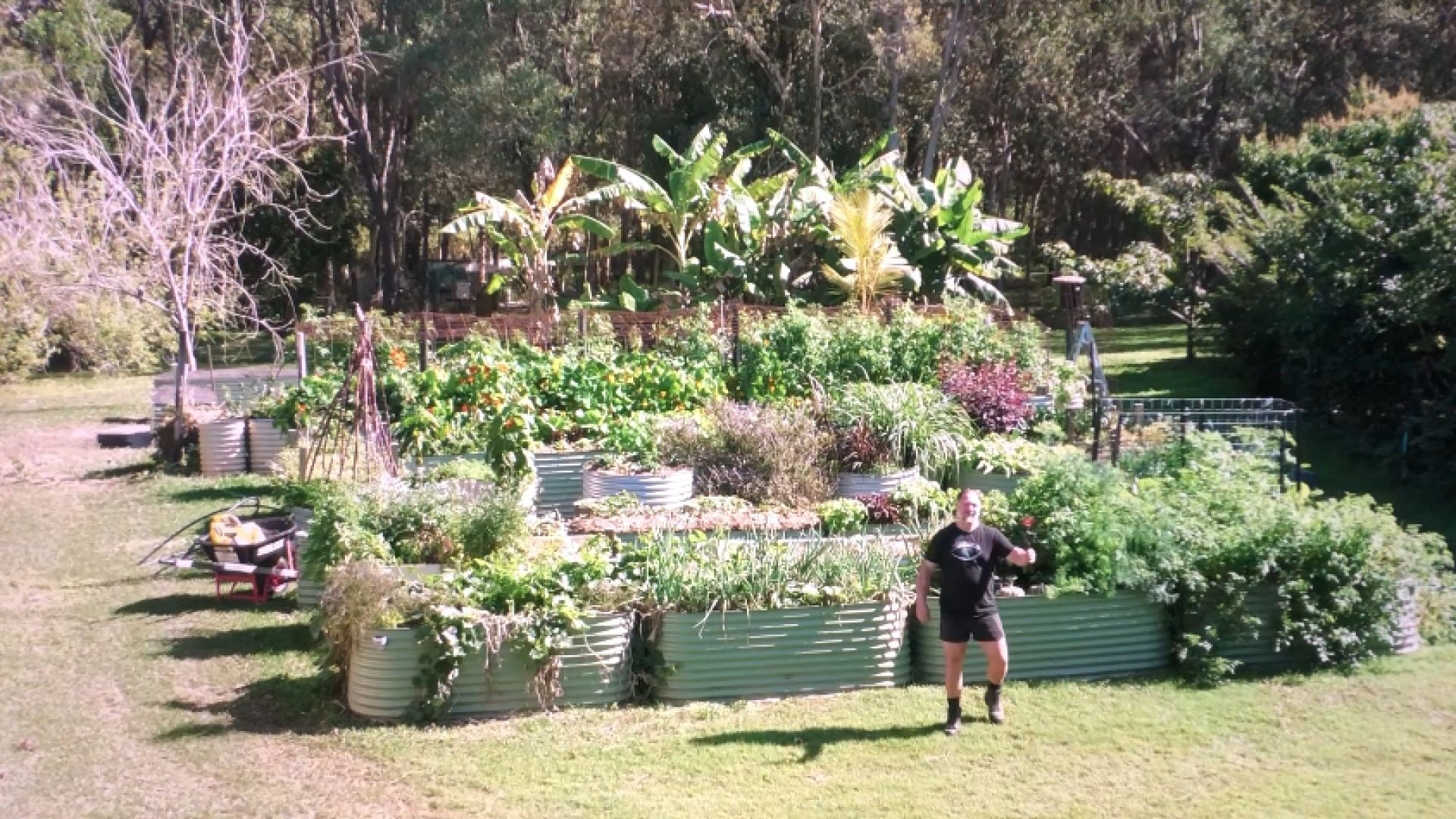ALL 54 Raised Veggie Garden Beds Walk Around Tour (JULY) Mark's link below