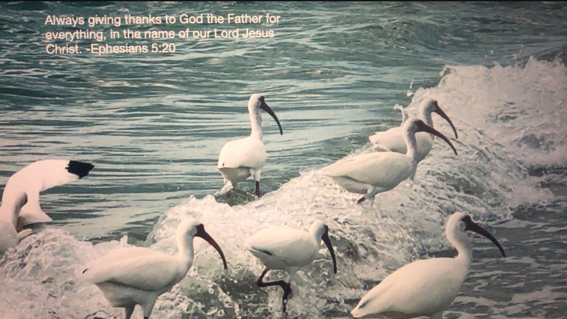 Bible Quote of the Day  10-12-23