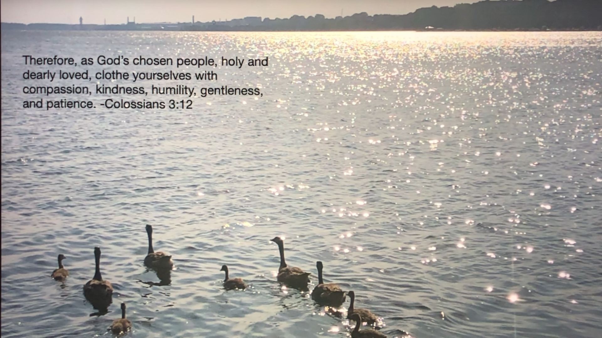 Bible Quote of the Day   day 4