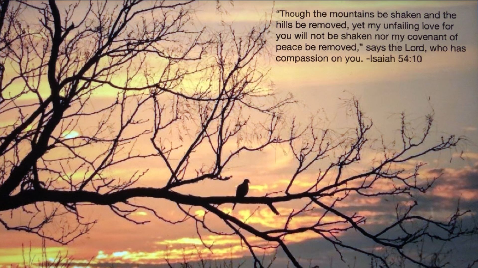 Bible Quote of the Day