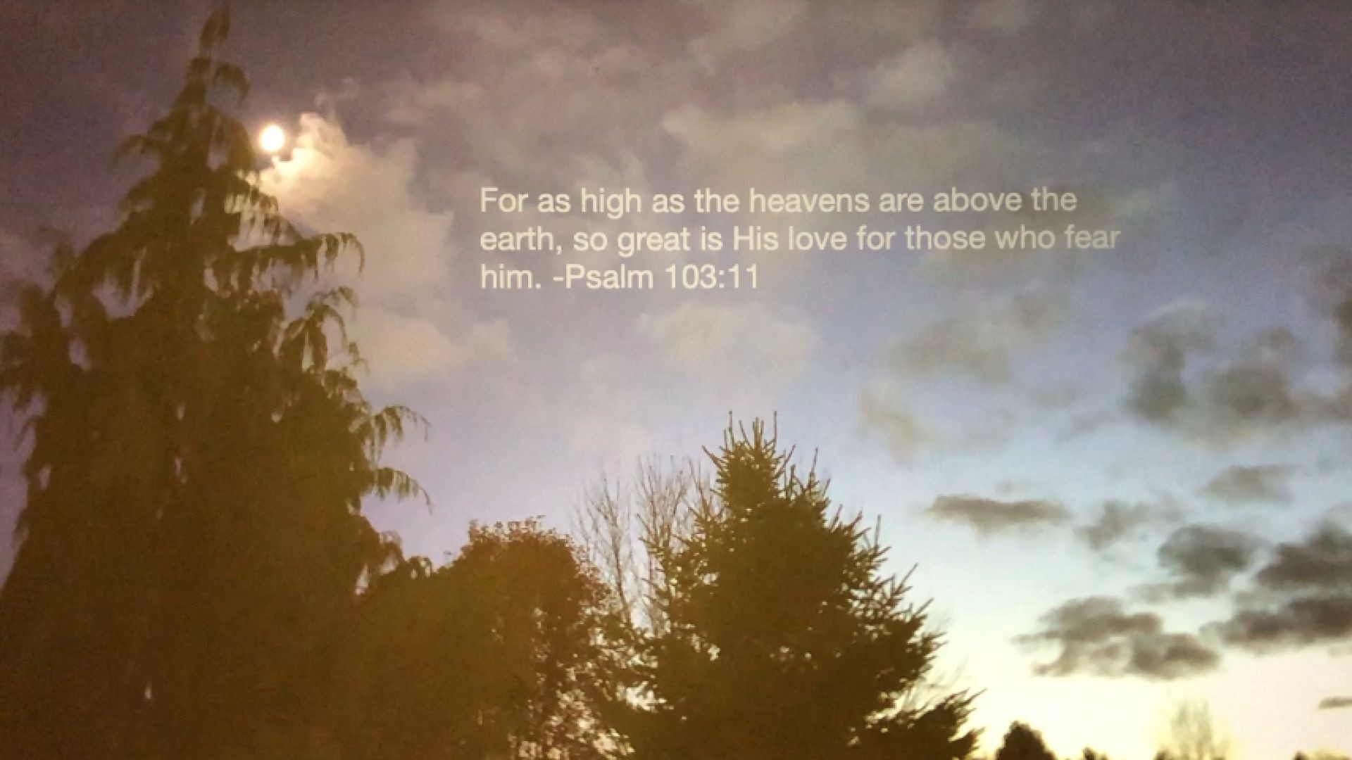 Bible Quote of the Day 11-20-23