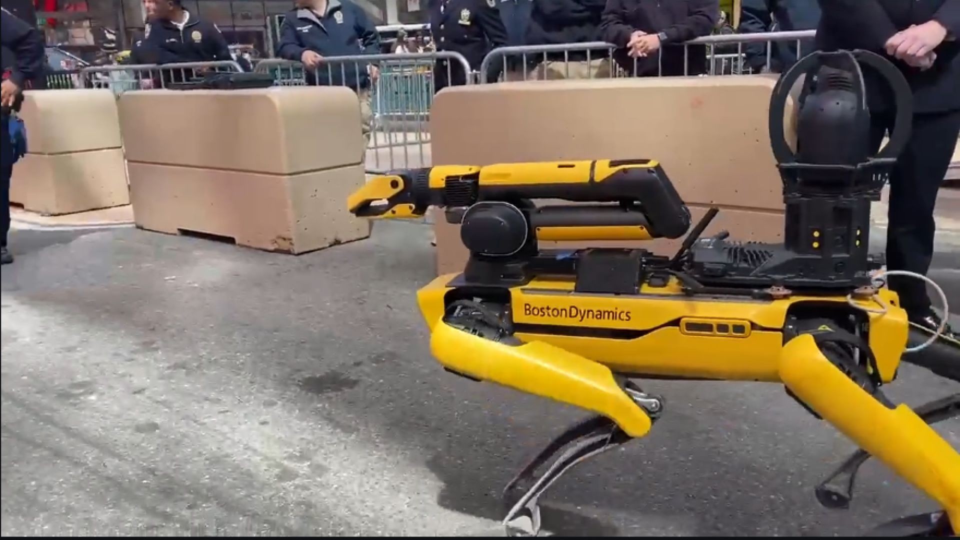 A New Addition to the NY Police