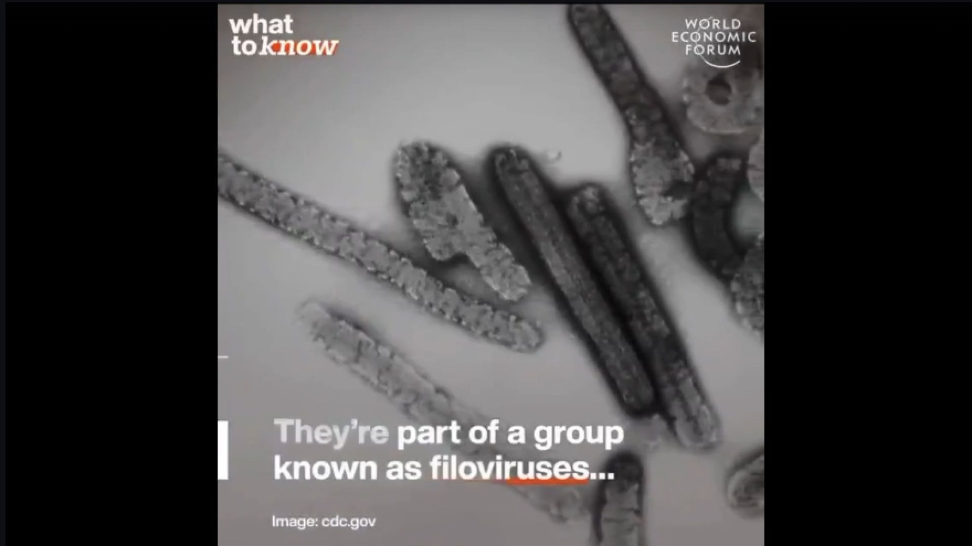 Propaganda Coming From WEN