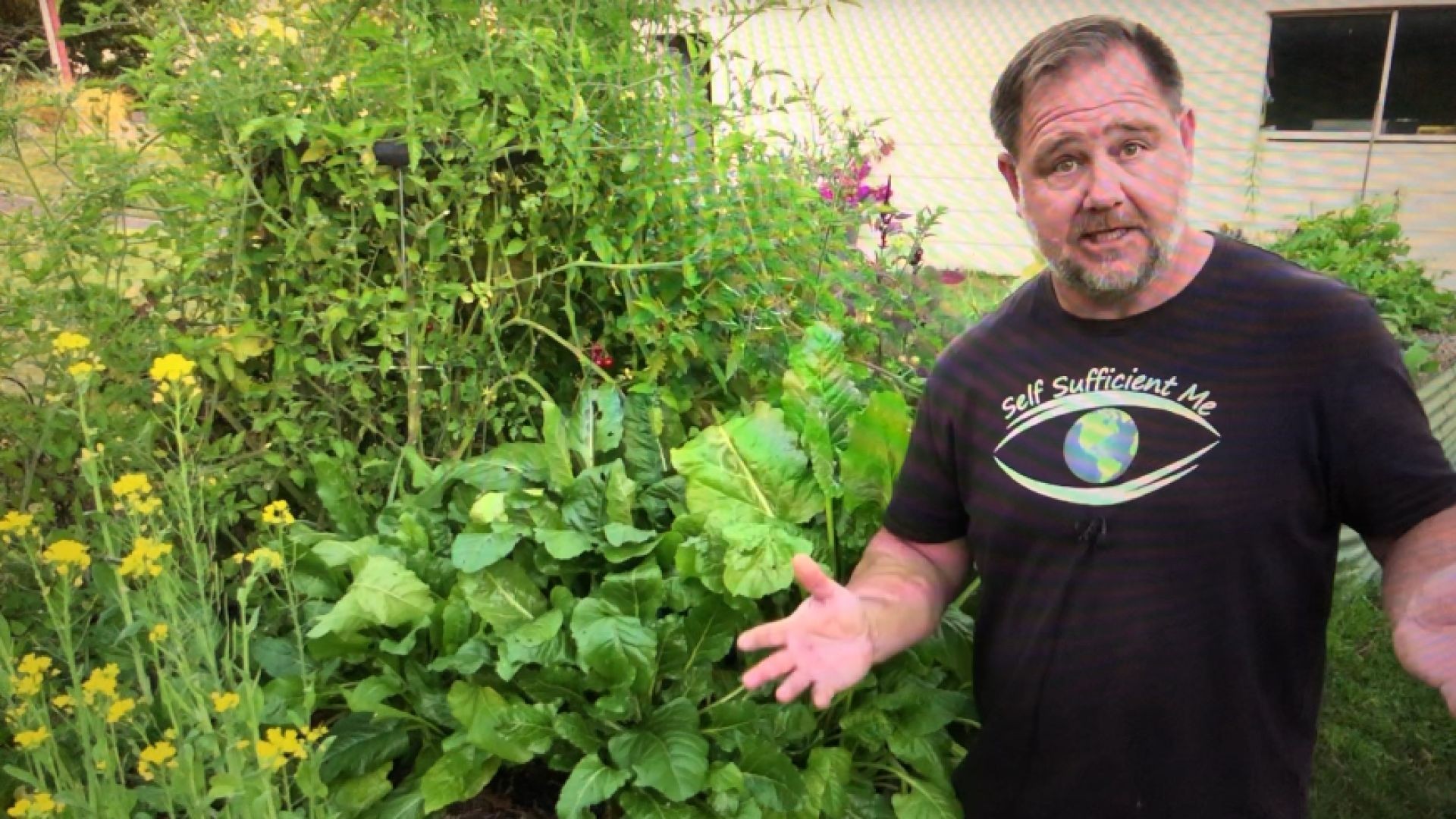 This TOUGH Tasty Plant is a MUST for the Home Vegetable Garden  (link below)