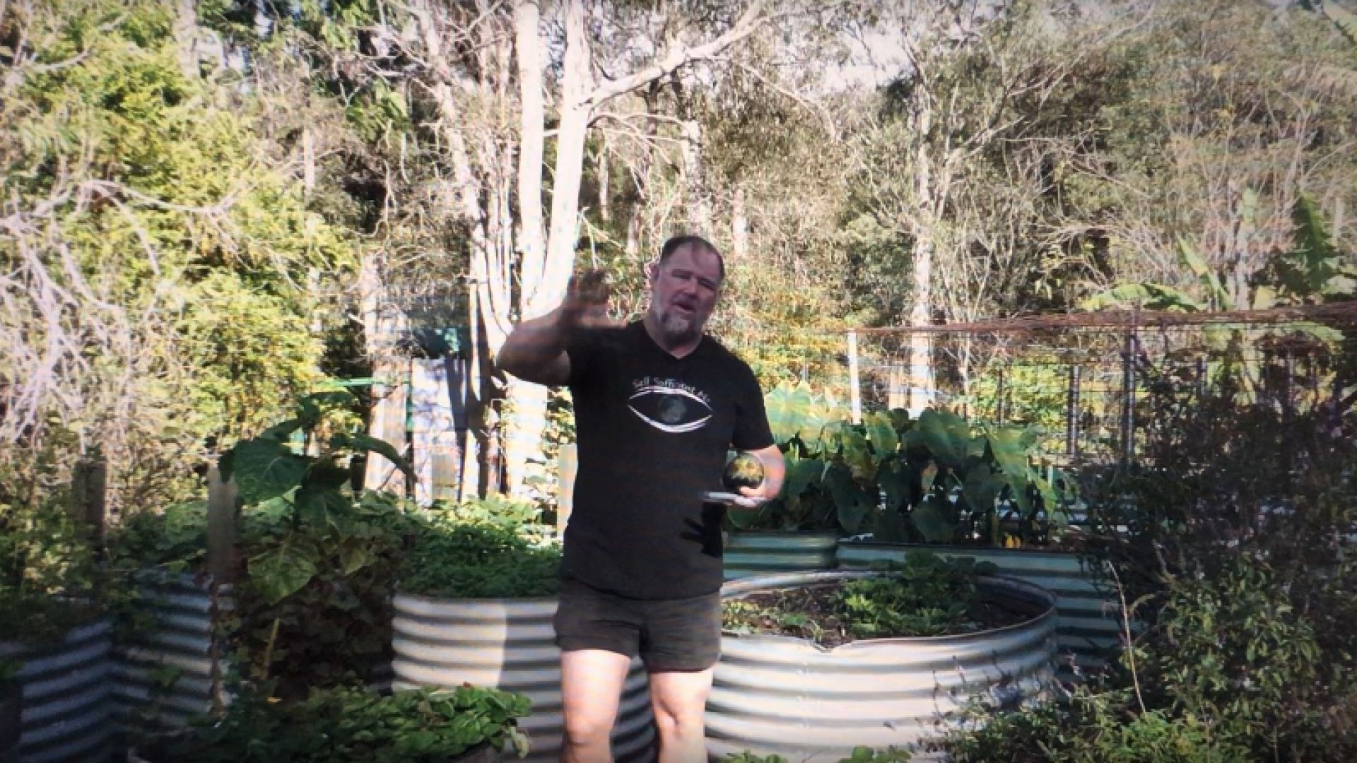 5 Tasks You Should Do EVERY DAY in the Veggie Garden  -Mark's link below