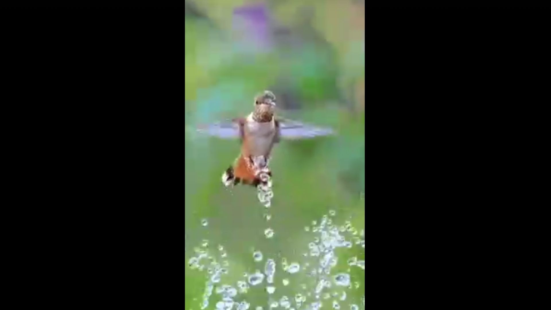 Focus on the Simple Things in Life