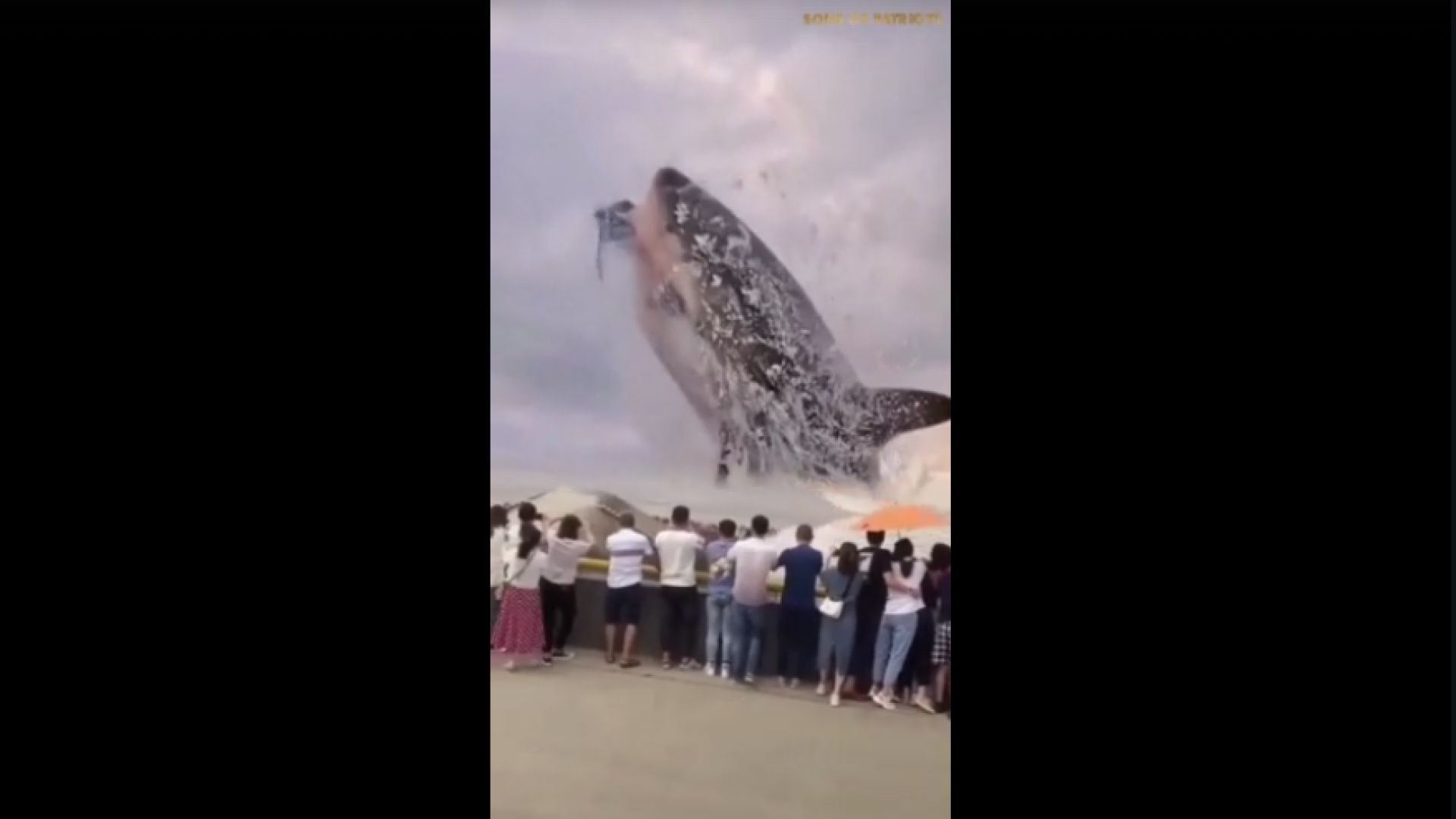 CGI will you Recognize it in the Sky?