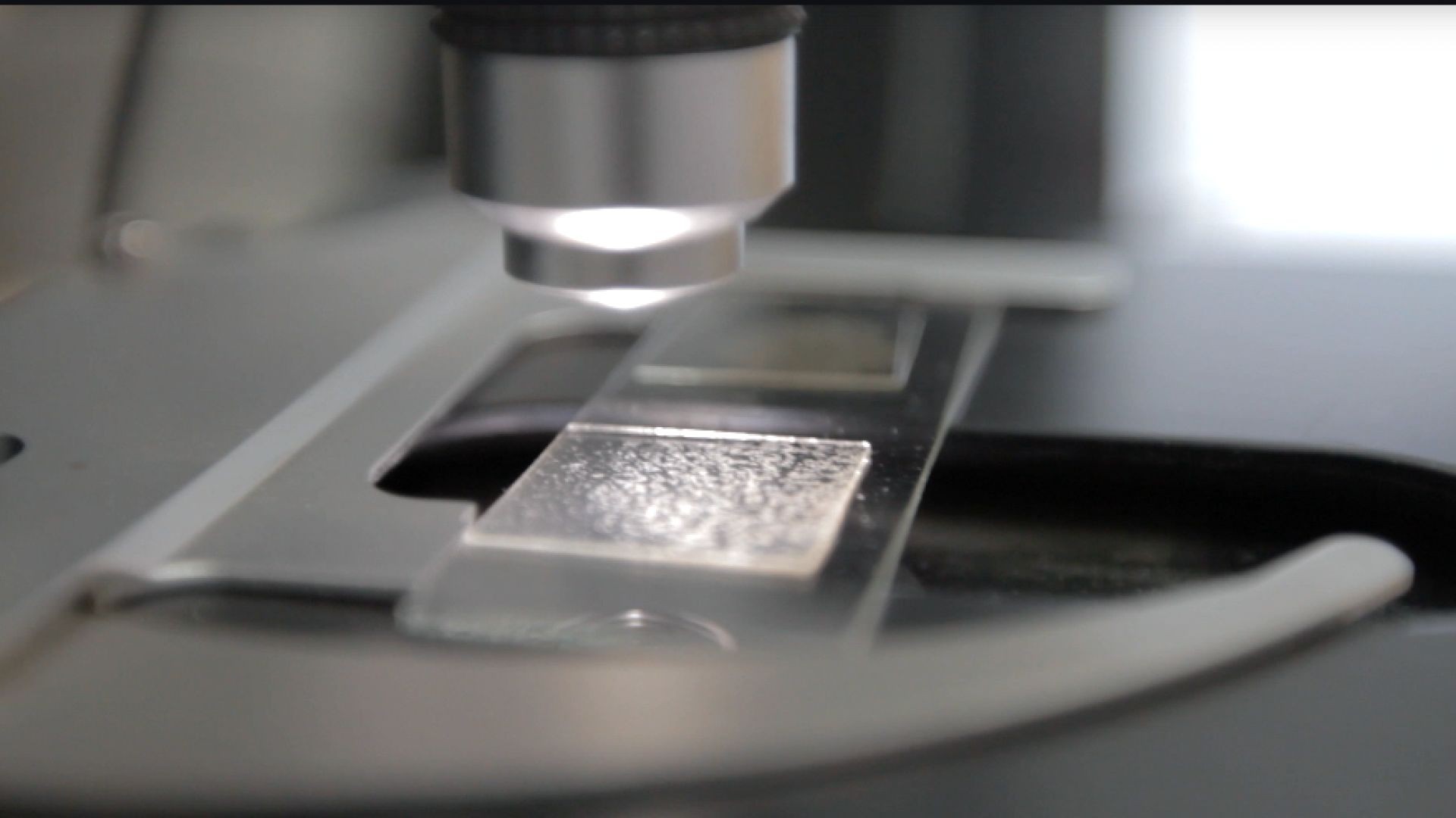Lab