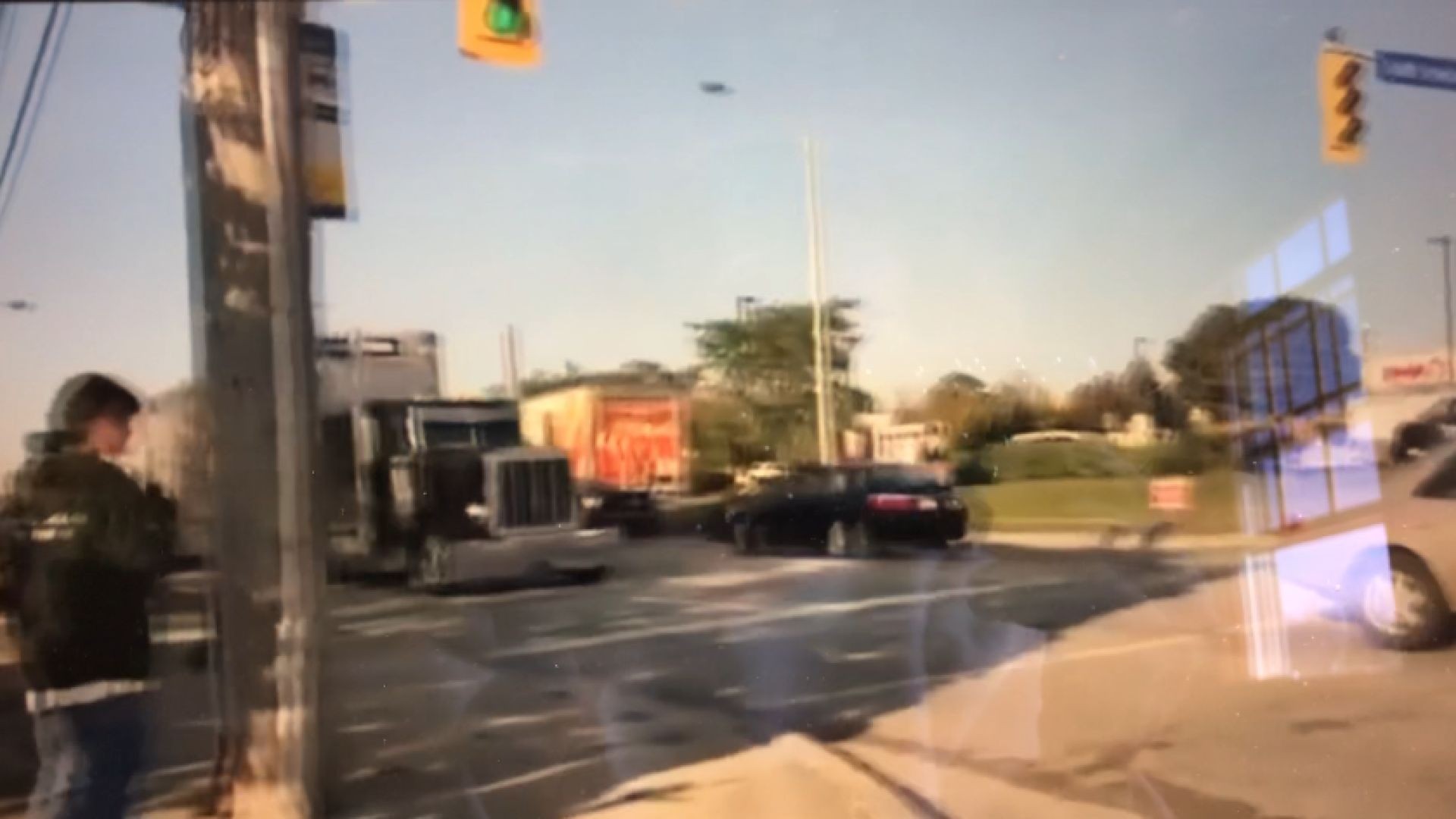Vegans try to stop a truck carrying livestock. (Warning- Super Funny)