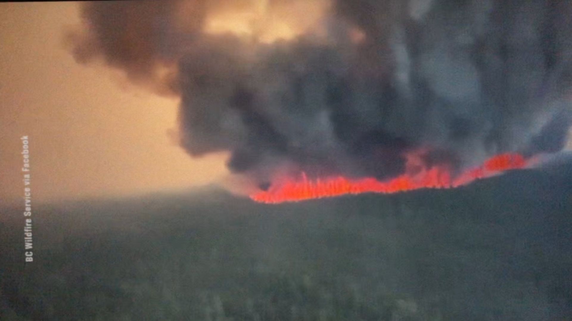 Exposing the ‘Climate Change’ Hoax Behind Wildfires | Facts Matter  (link below)