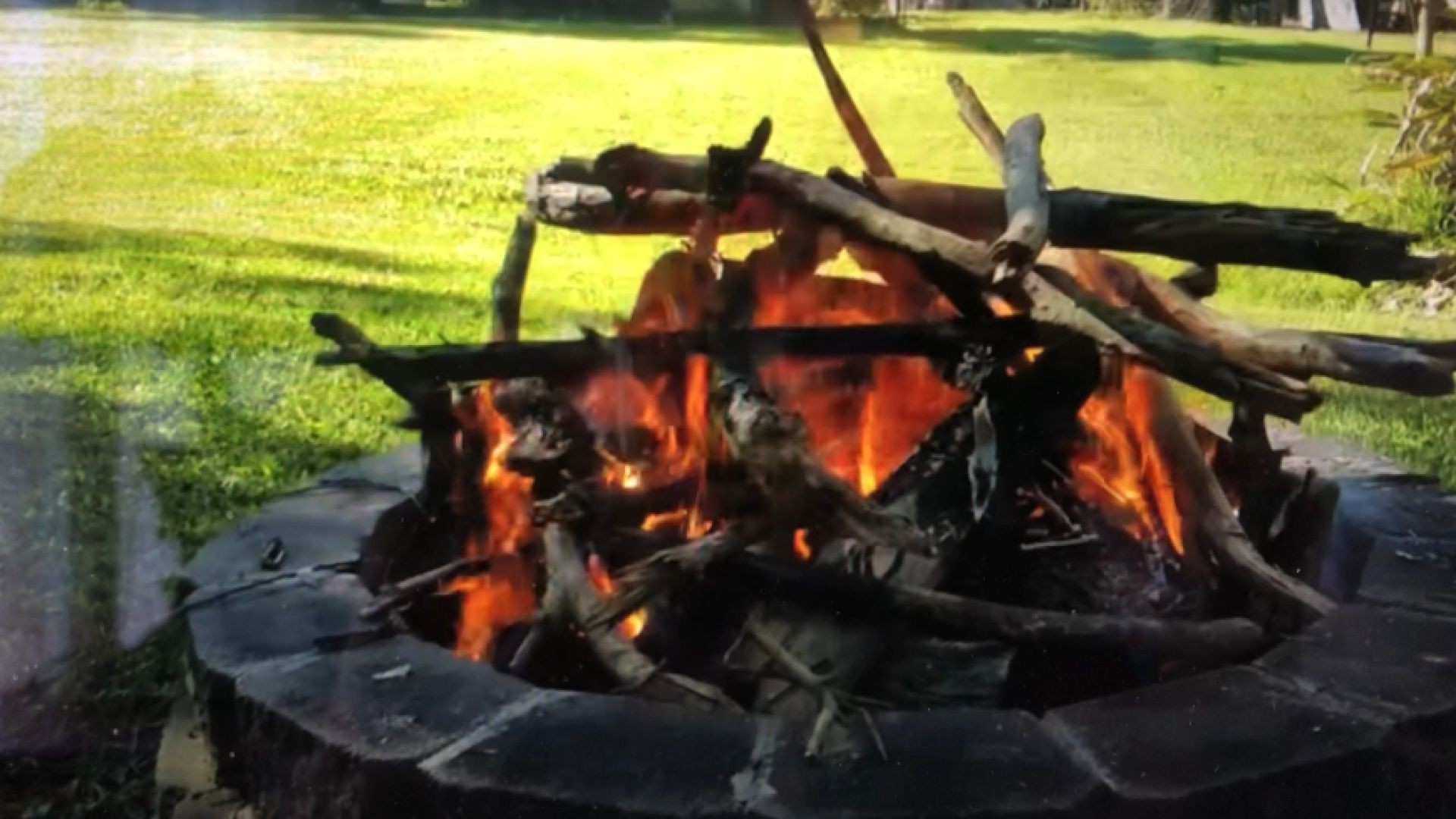 What Happens When You Use Ash in the Garden?   (Mark's link below)