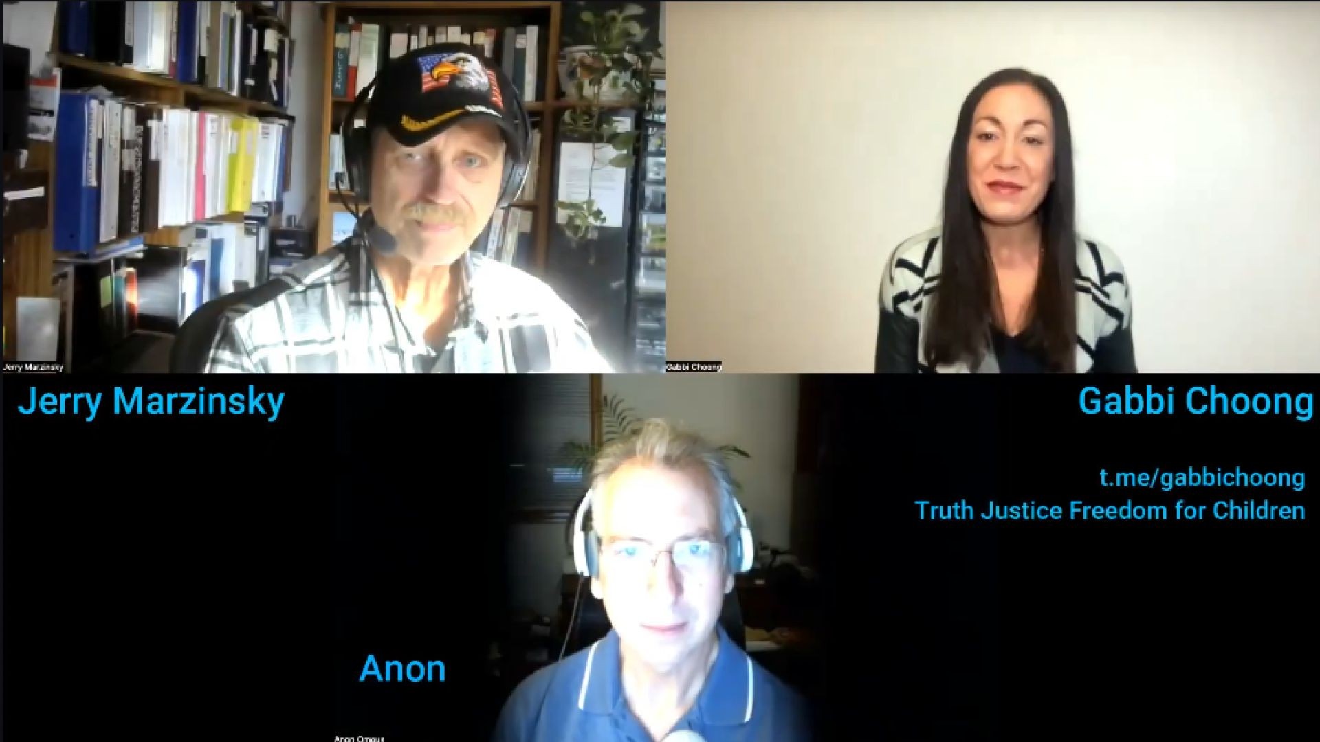 Jerry Marzinsky & special guest Anon on schizophrenia & invisible parasitic entities, the &#