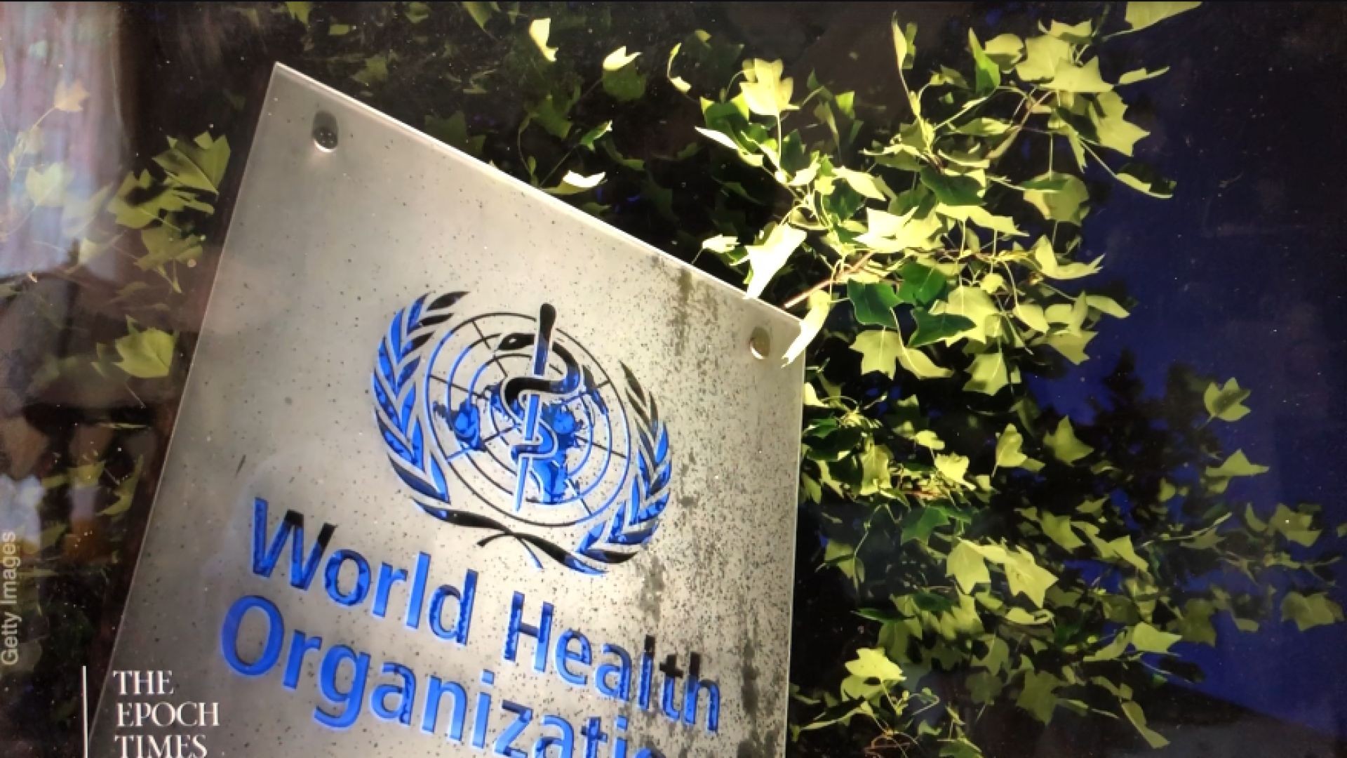 Dr. David Bell: The Real Meaning of Recent WHO Negotiations & ‘One Health’ Ideology